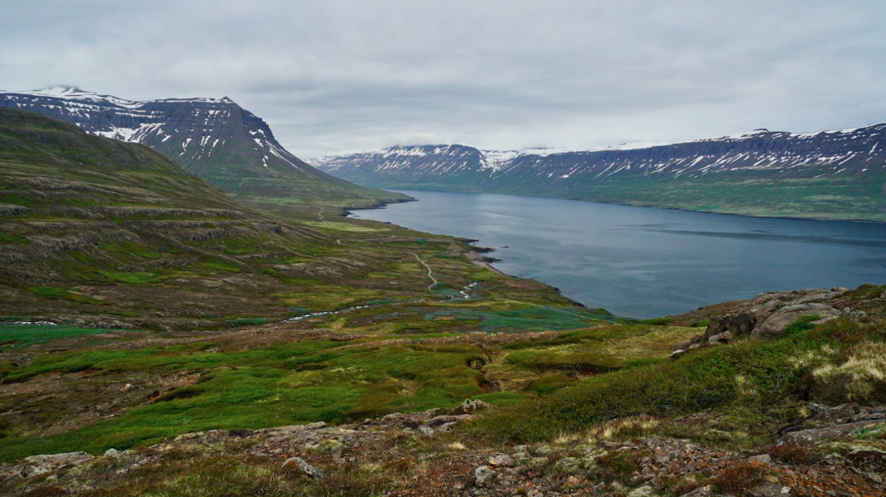 Þorskur í öllum hafnarsögum